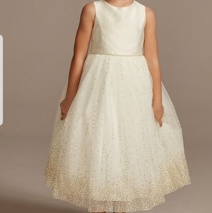 Flower Girl Dress/Holiday/Party Dress